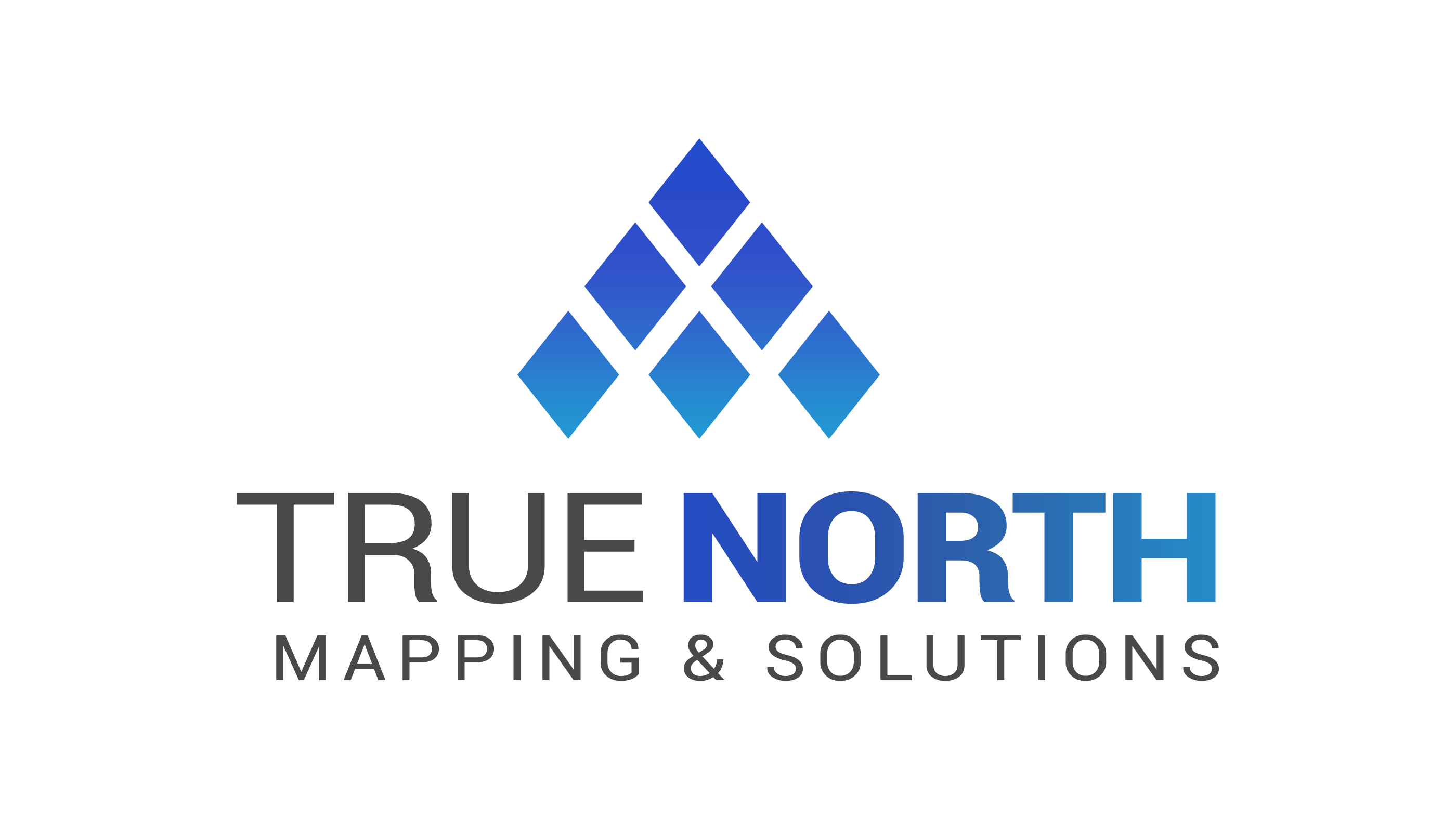 True North Mapping and Solutions logo